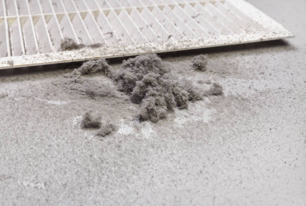 Best Air Duct Inspection  in Lantana, FL